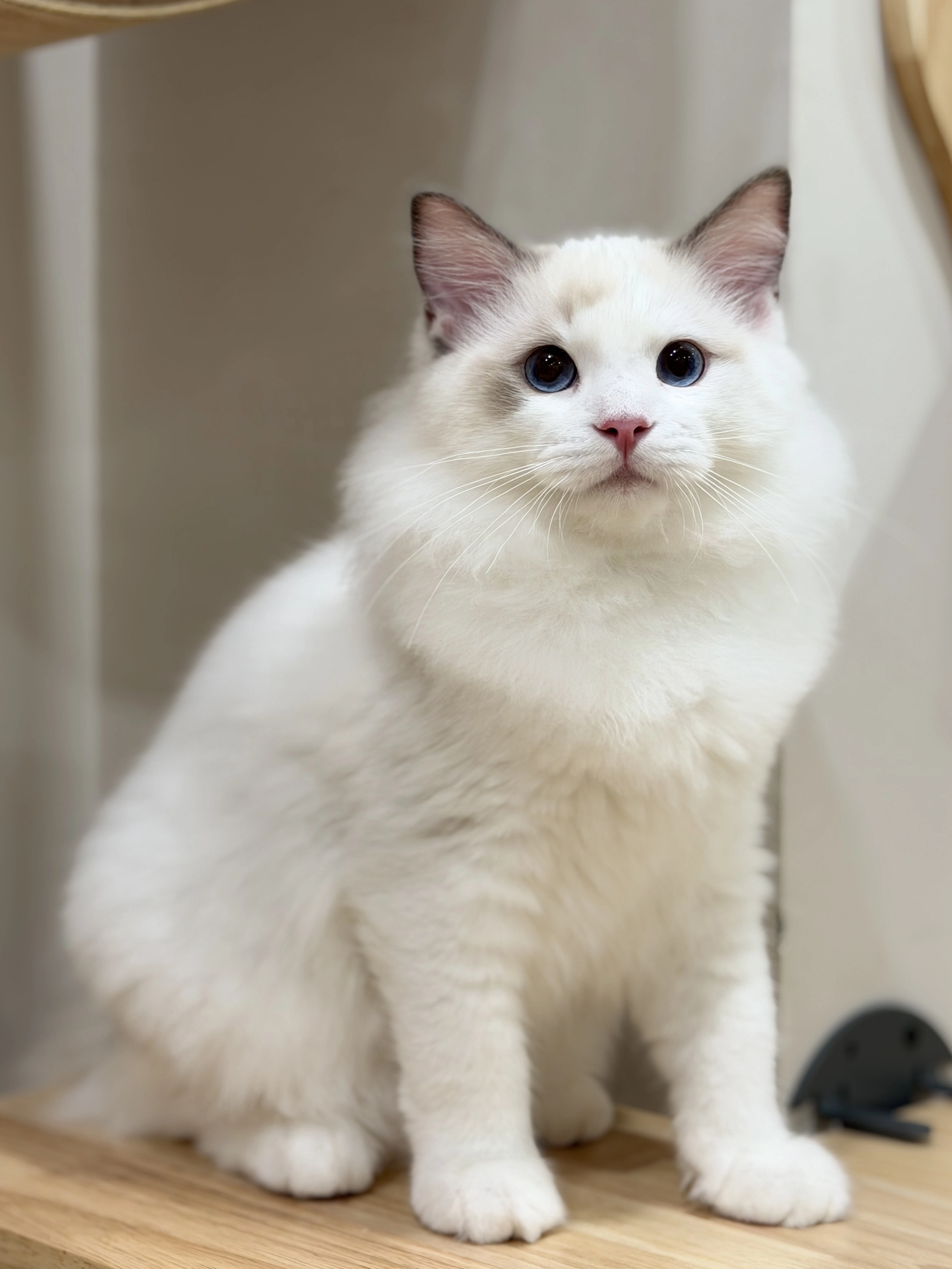 S__122945601_0